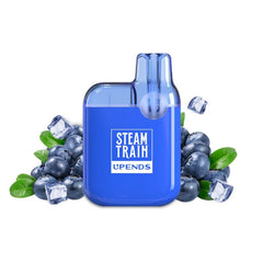 Steam Train 600 2ml Disposable Kit 20mg - Blueberry Ice