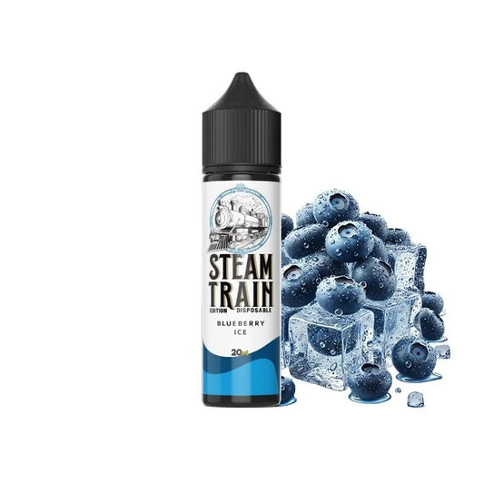 Steam Train Disposable Edition - Blueberry Ice - Flavor Shot 20/60ml