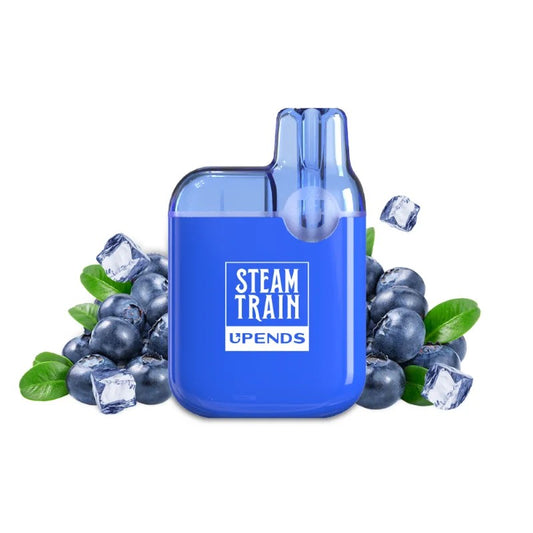 Steam Train 600 2ml Disposable Kit 20mg - Blueberry Ice