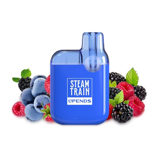 Steam Train 600 2ml Disposable Kit 20mg - Mr Blue (Blueberry Raspberry)