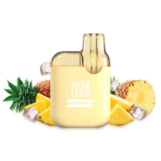 Steam Train 600 2ml Disposable Kit 20mg - Pineapple Ice