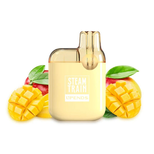 Steam Train 600 2ml Disposable Kit 20mg - Triple Mango