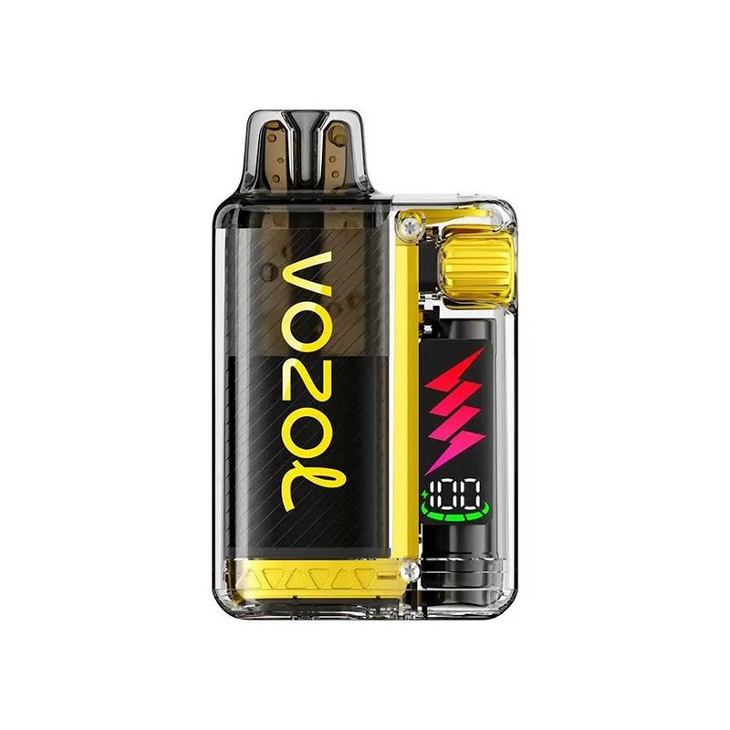 Vozol Vista Plug 2ml+10ml 10000 Puffs Disposable Kit 20mg - Mango Ice